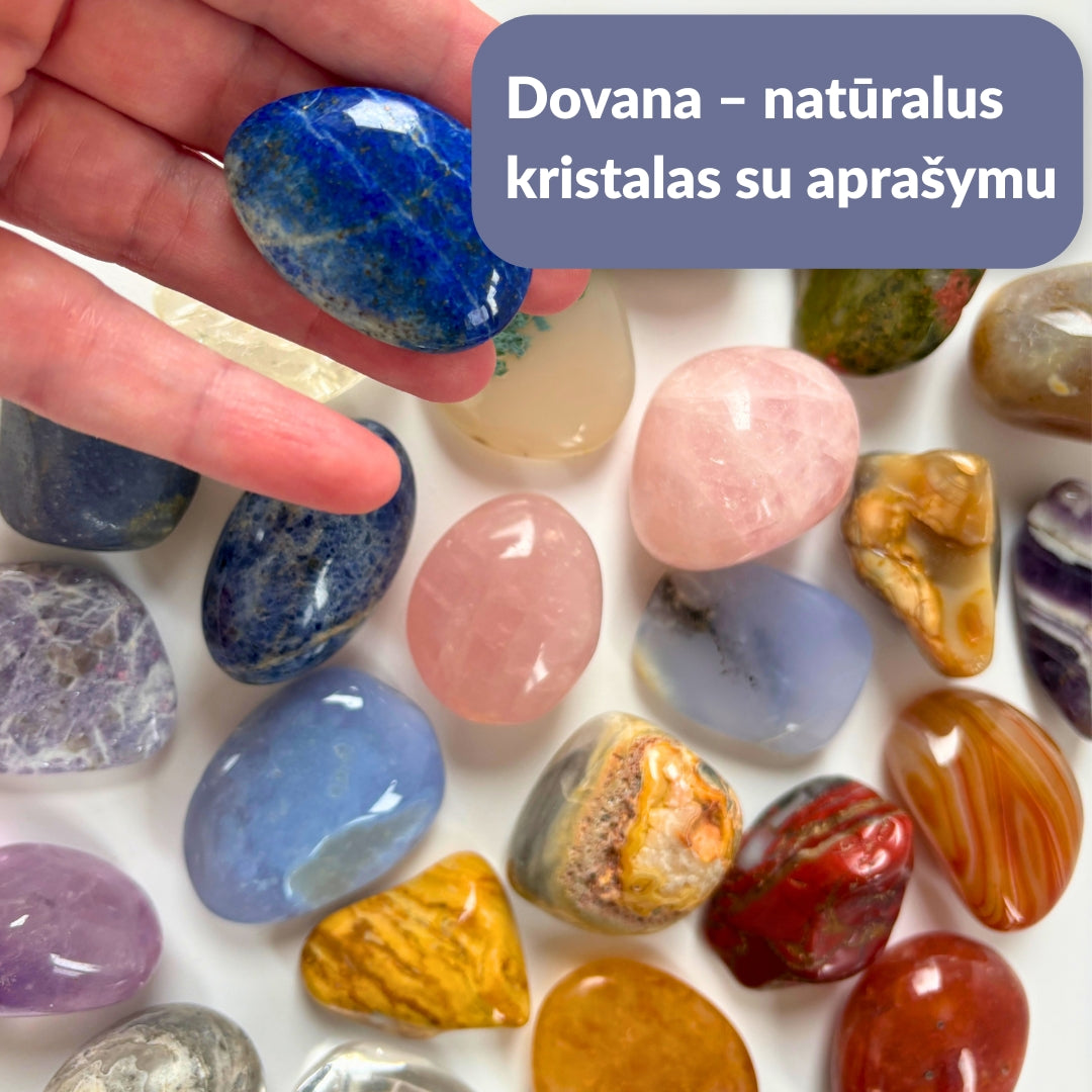 Knyga „Vaikai ir kristalas“ 2 dalis + DOVANA kristalas