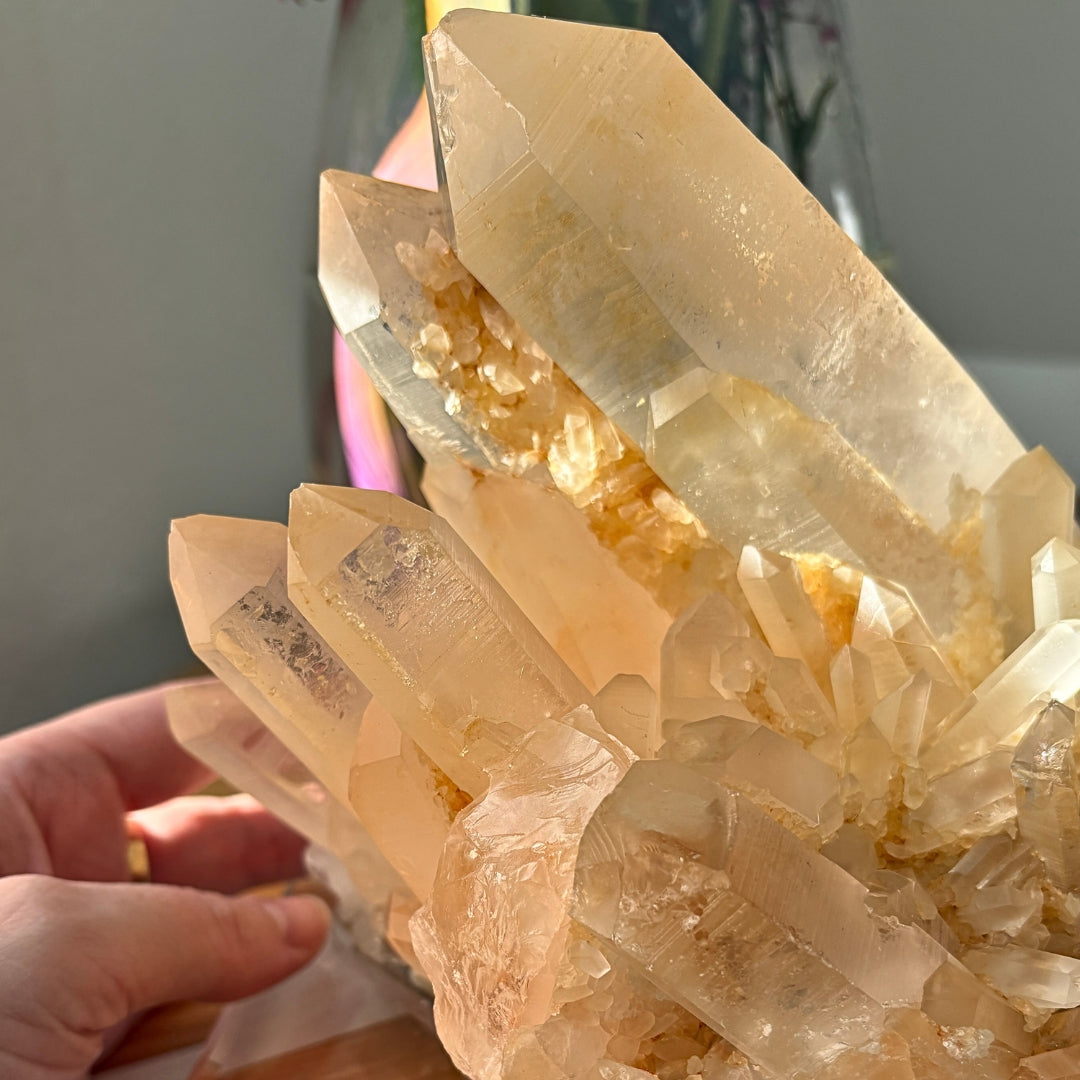 Retas gelsvo atspalvio Kalnų Krištolas su stovu