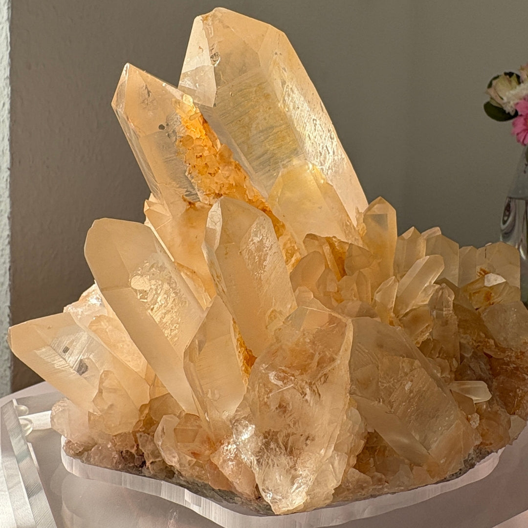 Retas gelsvo atspalvio Kalnų Krištolas su stovu