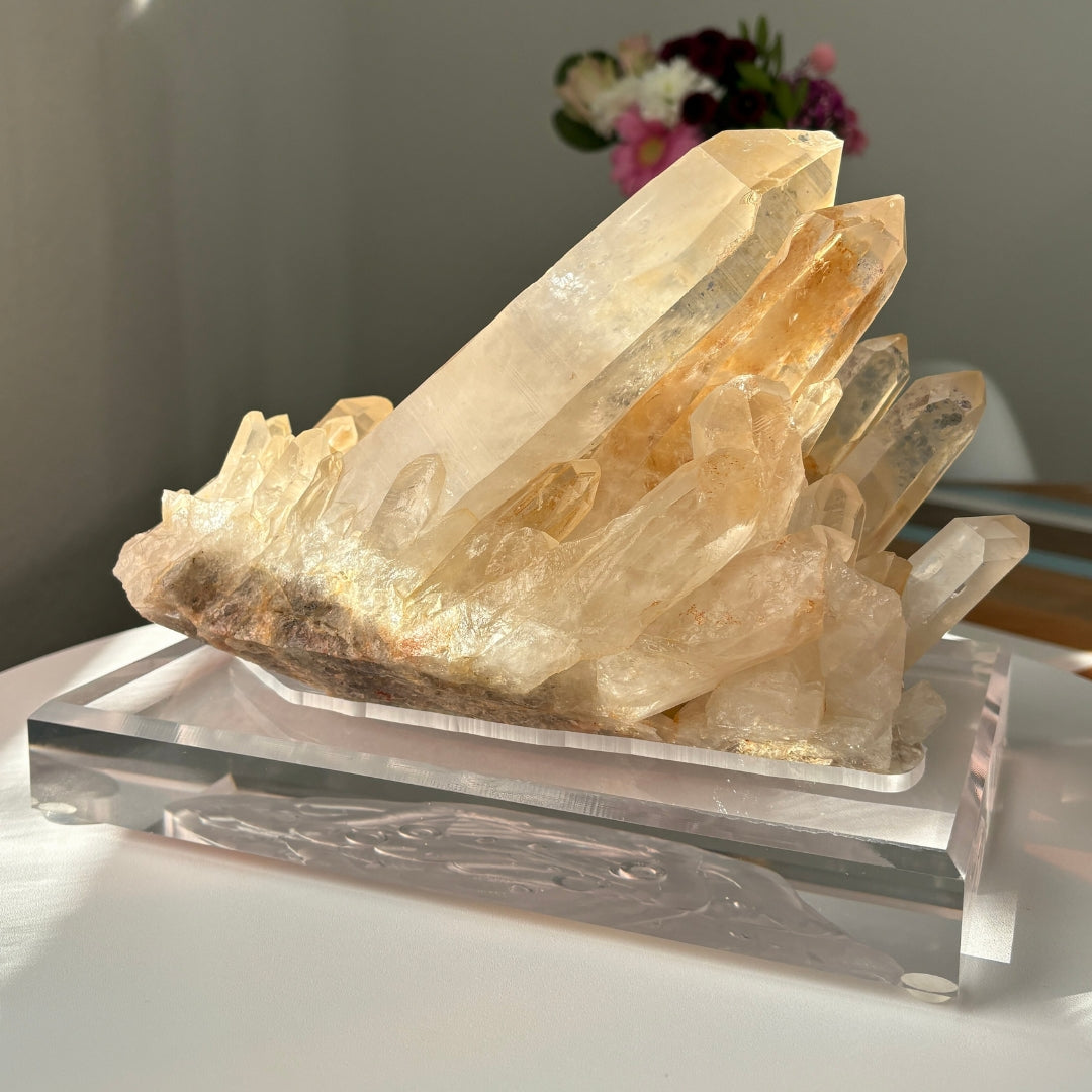 Retas gelsvo atspalvio Kalnų Krištolas su stovu