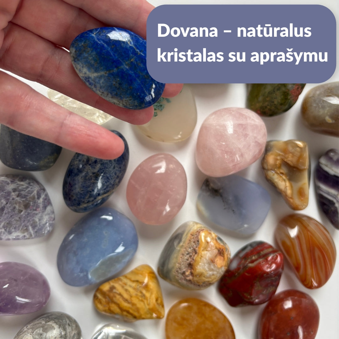 Knyga, kurią vaikai skaito patys. Ramūs tėvai. Augantys vaikai.